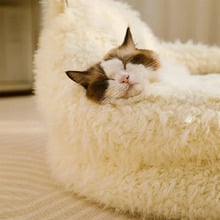 Alpaca Plush Pet Bed